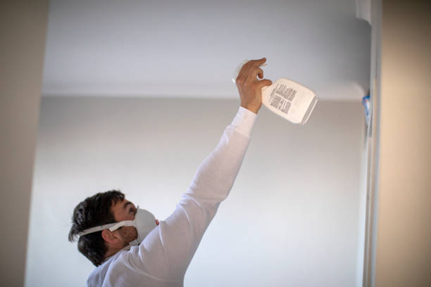 Westway, TX Mold Remediation Company