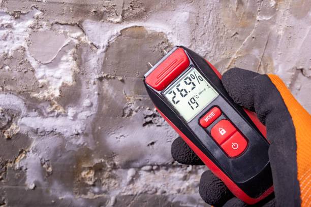 Best Basement Mold Remediation in Westway, TX