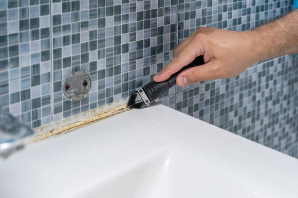 Best Commercial Mold Remediation in Westway, TX